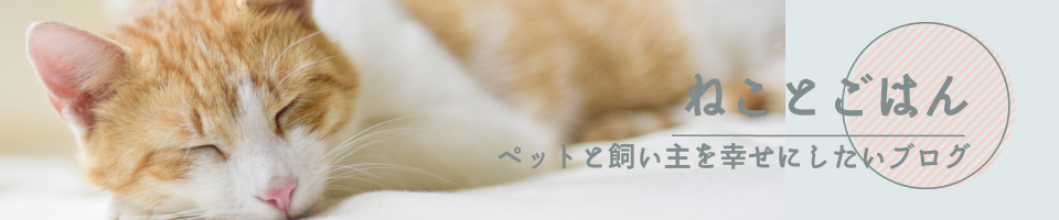 ねことごはん